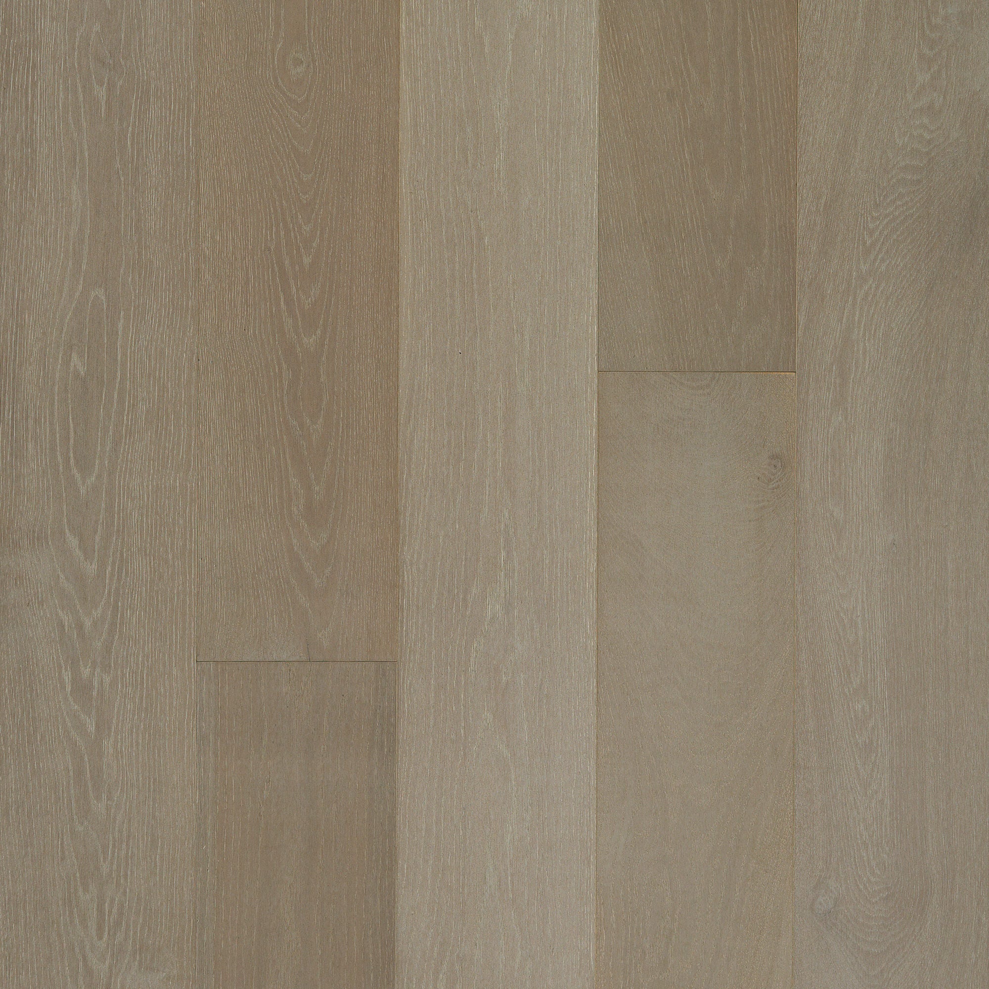 Special First Quality Hardwood Oyster Oak CORAL SHORES - CLT Flooring & Furnishings Inc